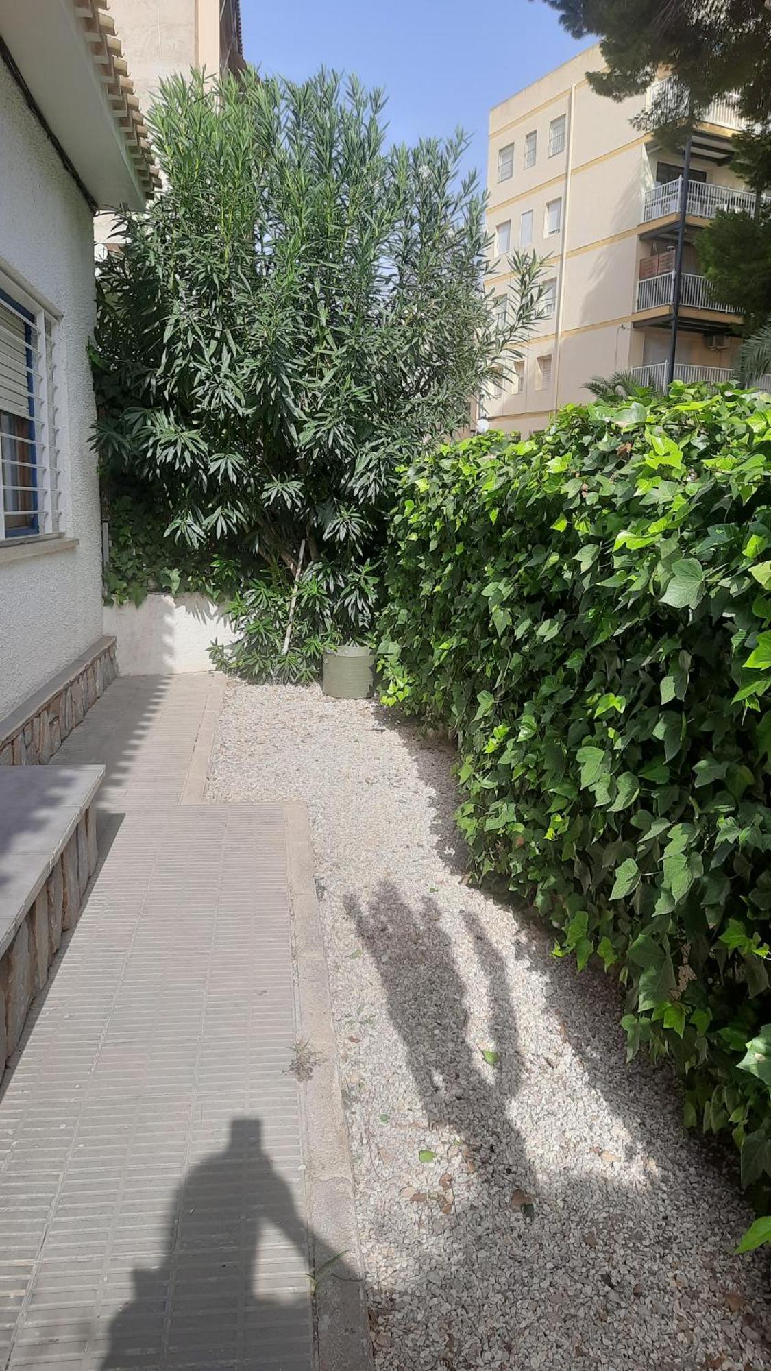 Chalet I Con Terraza En La Playa 圣佩德罗－德尔皮纳塔尔 外观 照片